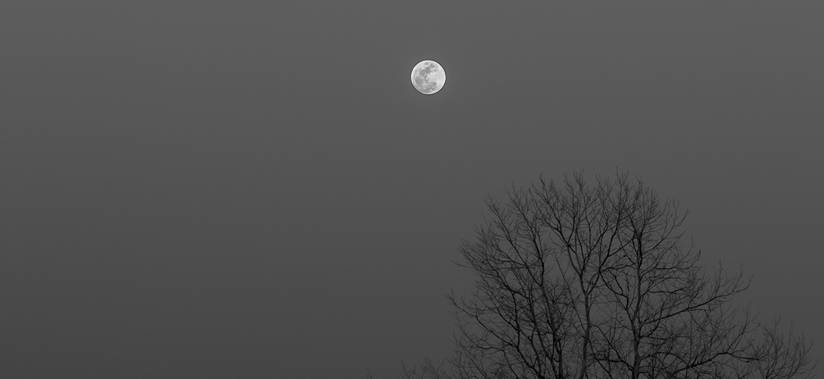 f8 - 1/160 - ISO 400